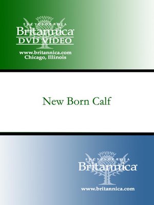 cover image of New Born Calf